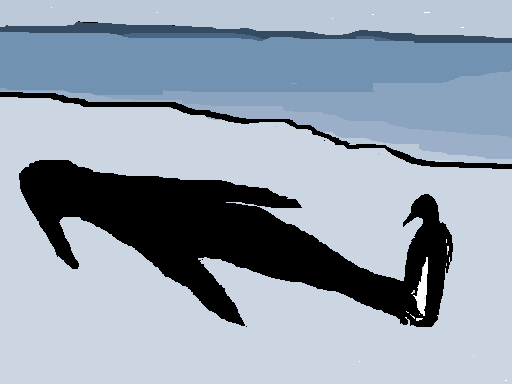 Le pingouin et son ombre