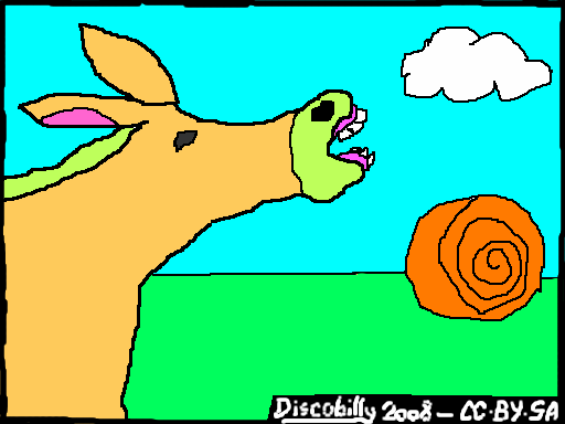 donkey-cc